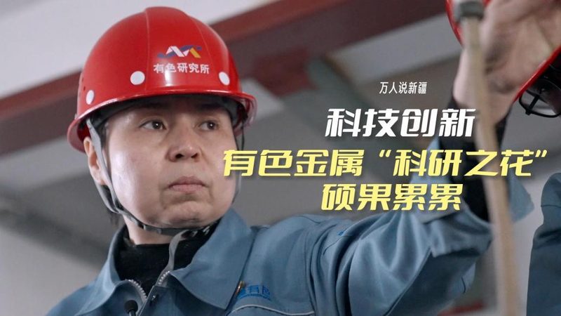 OA协同办公免费版与付费版：功能差异与适用场景解析